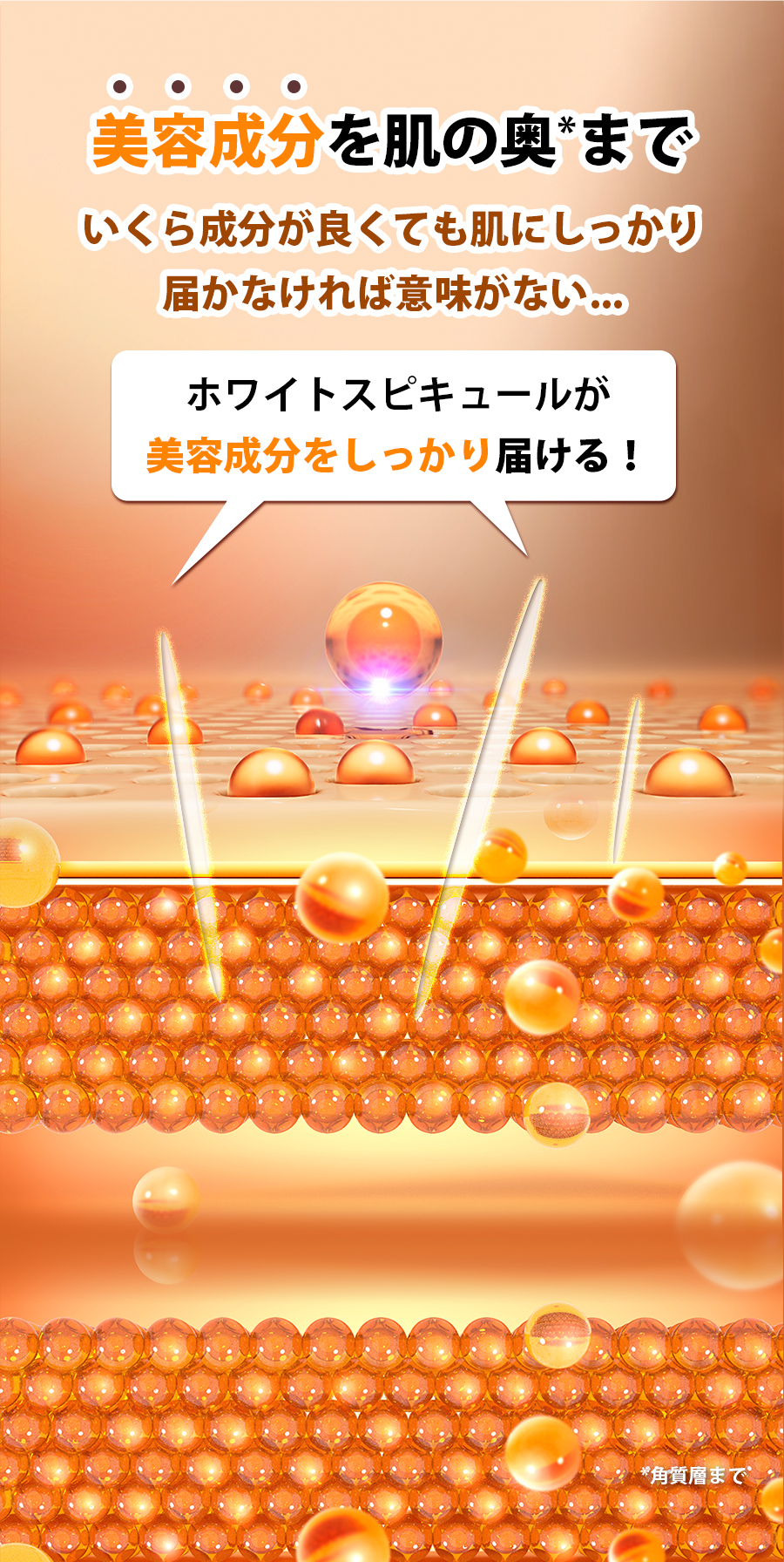 美容成分を肌の奥までいくら成分が良くても肌にしっかり届かなければ意味がない。ホワイトスピキュールが美容成分をしっかり届ける!